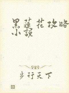 黑莲花攻略手册小说