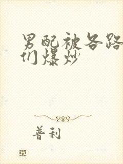 男配被各路大佬们爆炒