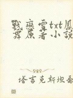战恋雪txt凤舞原著小说