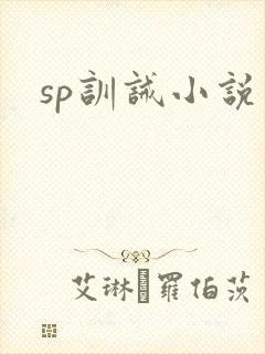 sp训诫小说