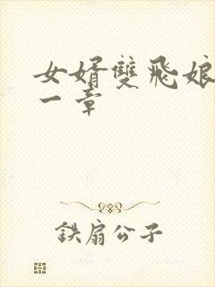 女婿双飞娘俩第一章