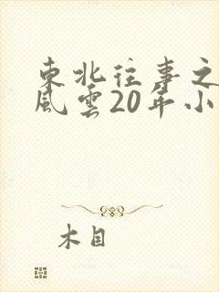 东北往事之黑道风云20年小说