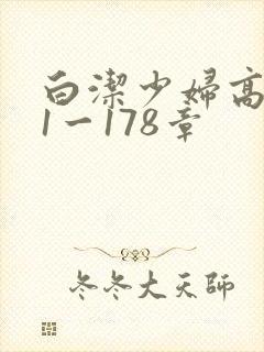 白洁少妇高义第1一178章