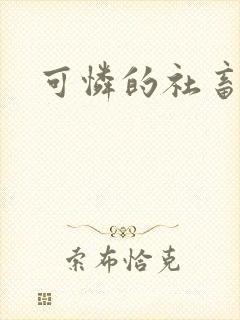 可怜的社畜小说