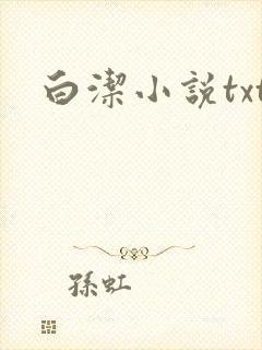 白洁小说txt