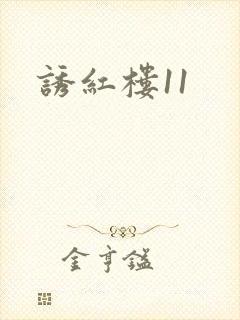 诱红楼11