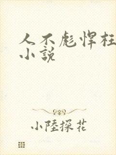 人不彪悍枉少年小说