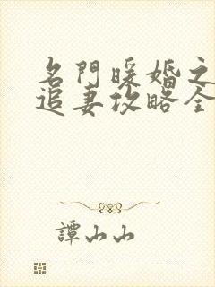 名门暖婚之权爷追妻攻略全文免费阅读