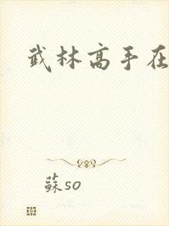 武林高手在异界