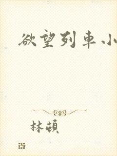欲望列车小说