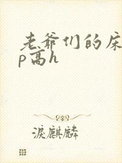 老爷们的床奴np高h