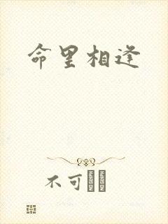 命里相逢