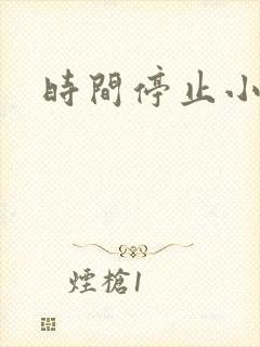 时间停止小说