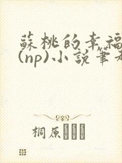 苏桃的幸福生活(np)小说笔趣阁