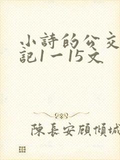 小诗的公交车日记1一15文