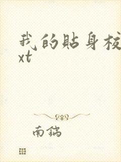 我的贴身校花txt