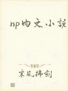 np肉文小说