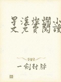 星汉灿烂小说全文免费阅读