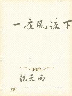 一夜风流下载