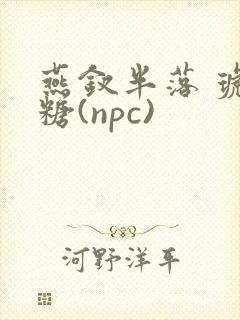 燕钗半落 琥珀糖(npc)