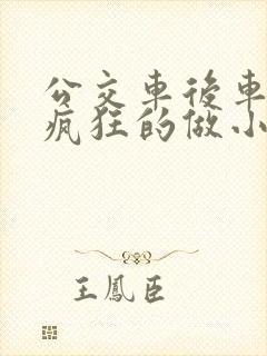 公交车后车座的疯狂的做小