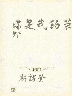 你是我的荣耀番外