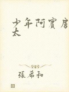 少年阿宾房东太太