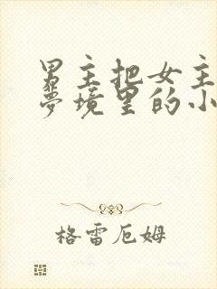 男主把女主拖进梦境里的小说