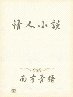 情人小说