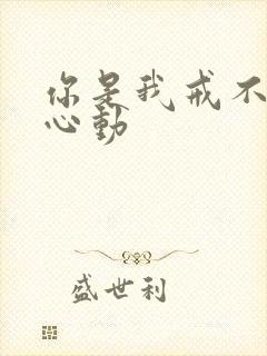 你是我戒不掉的心动