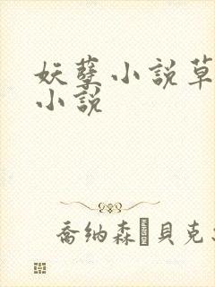 妖孽小说草莓酱小说