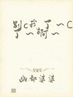 别c我了～C烂了～啊～封面