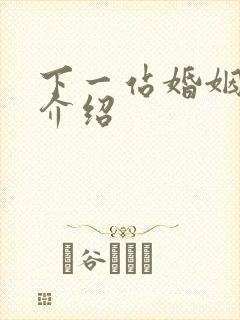 下一站婚姻剧情介绍