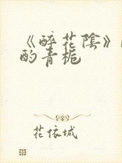 《醉花阴》by酌青栀