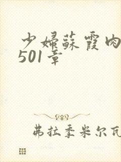 少妇苏霞肉欲第501章