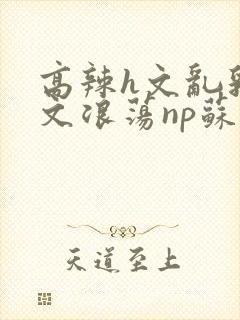 高辣h文乱乳h文浪荡np苏夏