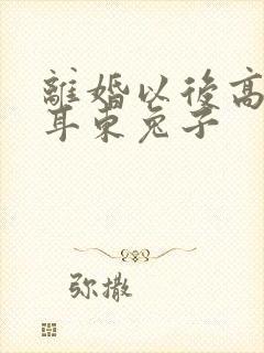 离婚以后高干 耳东兔子