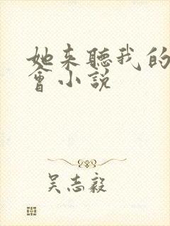 她来听我的演唱会小说