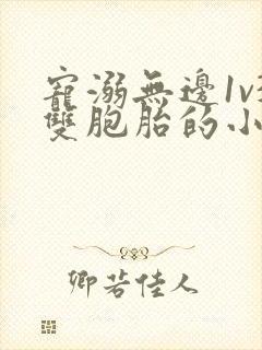 宠溺无边1v3双胞胎的小说