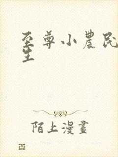 至尊小农民王木生