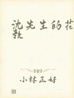 沈先生的花式调教