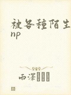 被各种陌生人 np