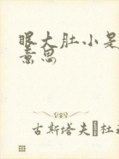 眼大肚小是什么意思