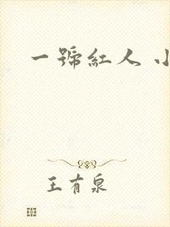 一号红人 小说