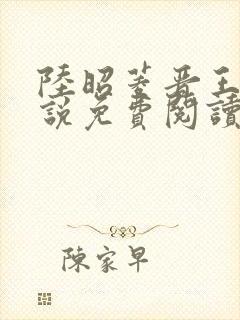 陆昭菱晋王的小说免费阅读