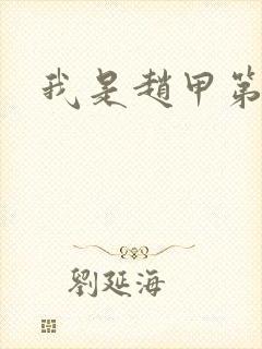 我是赵甲第小说