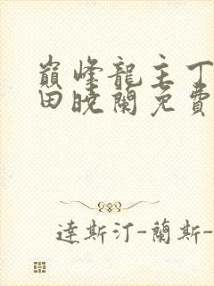 巅峰龙主丁长顺田晓兰免费阅读