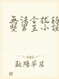 无法合拢的总裁双男主小说