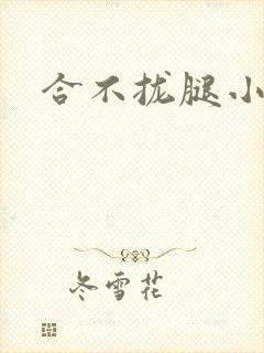 合不拢腿小说