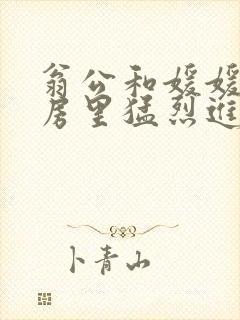 翁公和媛媛在厨房里猛烈进出